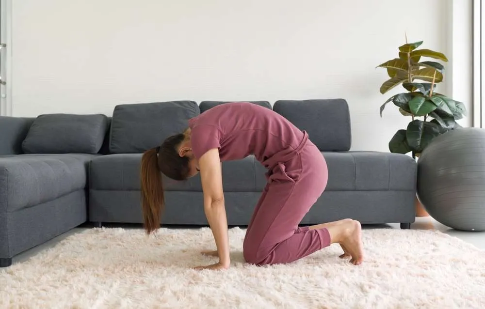 Spine Movements and Back Flexibility